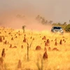 Australia trải qua mùa Đông nóng nhất trong lịch sử với nhiệt độ trung bình 23,7 độ C. (Nguồn: theguardian.com)