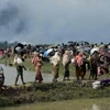 Người tị nạn Rohingya tại khu vực Ukhia, trên biên giới Bangladesh-Myanmar sau khi rời bỏ nhà cửa tránh xung đột ở Rakhine. (Nguồn: AFP/TTXVN)