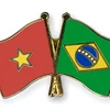 Ra mắt Nhóm nghị sỹ hữu nghị Brazil-Việt Nam nhiệm kỳ 2017-2019