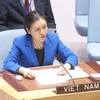 Đại sứ Nguyễn Phương Nga phát biểu tại một phiên họp. (Nguồn:TTXVN)