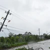 Cột điện trên địa bàn huyện M' Đrắk, Đắk Lắk bị gãy đổ. (Ảnh: Tuấn Anh/TTXVN)