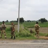 Lực lượng an ninh Ấn Độ gác tại khu vực Rohtak. (Nguồn: AFP/TTXVN)