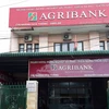 Nổ súng tự chế trước cửa Ngân hàng Agribank thành phố Buôn Ma Thuột