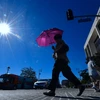 Cảnh nắng nóng trên đường phố Los Angeles, Mỹ. (Nguồn: AFP/TTXVN)
