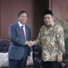 Phó Chủ tịch DPR Fahri Hamzah và Đại sứ Hoàng Anh Tuấn (Ảnh: Đỗ Quyên/Vietnam+)