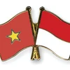Vai trò của các tổ chức trong thúc đẩy hợp tác Việt Nam-Indonesia
