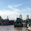 Tàu, thuyền tránh trú bão tại Cảng cá Bình Thắng, huyện Bình Đại, tỉnh Bến Tre. (Ảnh: Trần Thị Thu Hiền/TTXVN)