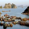 Tàu thuyền của ngư dân neo đậu tại cảng Cái Rồng, Quảng Ninh. (Ảnh: Quang Quyết/TTXVN)