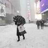 Tuyết rơi dày đặc tại New York, Mỹ. (Nguồn: THX/TTXVN)