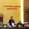 Chủ tịch Quốc hội Nguyễn Thị Kim Ngân phát biểu tại phiên họp. (Ảnh: Phương Hoa/TTXVN)