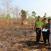 Nhiều khu rừng tại tiểu khu 43 rừng phòng hộ Dầu Tiếng bị đốt cháy. (Ảnh: Lê Đức Hoảnh/TTXVN)