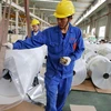 Sản phẩm nhôm cuộn được sản xuất tại một nhà máy ở tỉnh An Huy, Trung Quốc. (Nguồn: AFP/TTXVN)