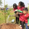 Các em nhỏ Việt Nam tham gia trồng cây hoa anh đào tại công viên Hòa Bình. (Ảnh: Nguyễn Văn Cảnh/TTXVN)