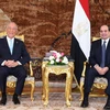 Tổng thống Ai Cập Abdel-Fattah El-Sisi (phải) hội đàm với Tổng thống Bồ Đào Nha Marcelo Rebelo de Sousa. (Nguồn: egypttoday.com)