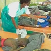 Điều trị cho bệnh nhân dịch tả tại Malawi. (Nguồn: malawi24.com)