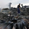 Hiện trường vụ máy bay MH17. (Nguồn: Reuters)