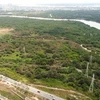 Khu đất hơn 32ha được Công ty Tân Thuận chuyển nhượng không đúng quy định cho Công ty Quốc Cường Gia Lai. (Ảnh: TTXVN phát)