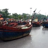 Hàng trăm bè, mảng được ngư dân kéo lên phố tránh bão. (Ảnh: Khiếu Tư/TTXVN)