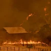 Cháy rừng dữ dội tại Guinda, California, Mỹ. (Nguồn: AFP/TTXVN)