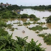 Nước lên ngập khu vực các hộ dân sống dưới gầm cầu Long Biên. (Ảnh: Thành Đạt/TTXVN)