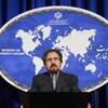 Người phát ngôn Bộ Ngoại giao Iran Bahram Qassemi. (Nguồn: IRNA/TTXVN)