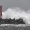 Sóng biển dâng cao khi bão Jongdari đổ bộ vào vùng biển tỉnh Chiba, Nhật Bản. (Nguồn: Kyodo/TTXVN)