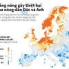 [Infographics] Nắng nóng gây thiệt hại cho nông dân Đức và Anh