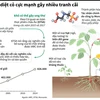 [Infographics] Glyphosate - Chất diệt cỏ cực mạnh gây nhiều tranh cãi