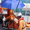 Các nhân viên cứu hộ của tàu SAR 27-01 chuẩn bị đưa nạn nhân từ tàu lên bờ. (Ảnh: Phan Sáu/TTXVN)