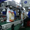 Chế biến gạo xuất khẩu tại nhà máy của Công ty cổ phần nông nghiệp công nghệ cao Trung An (thành phố cần Thơ). (Ảnh: Vũ Sinh/TTXVN)