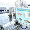 Hệ thống bể cá sinh thái trong Khu công nghiệp. (Ảnh: Thống Nhất/TTXVN) Ngày 22/9, Bộ Tài nguyên và Môi trường đã công khai kết quả 