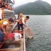 Thả hơn 60.000 con cá giống bổ sung nguồn lợi thủy sản hồ Hòa Bình. (Ảnh: Thanh Hải/TTXVN)