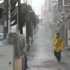 Bão Trami mang theo mưa to gió lớn đổ bộ Naha, thủ phủ tỉnh Okinawa, Nhật Bản. (Nguồn: Kyodo/TTXVN)
