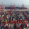 Hàng hóa được xếp tại cảng Dương Sơn, Trung Quốc. (Nguồn: THX/TTXVN)