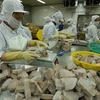 Chế biến sản phẩm cá ngừ đông lạnh xuất khẩu tại nhà máy của Công ty Cổ phần Thủy sản Bình Định. (Ảnh: Vũ Sinh/TTXVN)