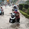 Triều cường gây ngập sâu trên đường Mậu Thân, quận Ninh Kiều vào giờ tan tầm khiến việc đi chuyển rất khó khăn. (Ảnh: Thanh Liêm/TTXVN)