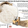 [Infographics] Xuất khẩu gạo Việt Nam đã chuyển từ lượng sang chất