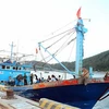 Tàu cá NA- 90988 TS cùng 18 thuyền viên được lai dắt đưa về cảng Cửa Lò (Nghệ An) an toàn. (Ảnh: Tá Chuyên/TTXVN)