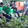 Bí thư Thành ủy Thành phố Hồ Chí Minh Nguyễn Thiện Nhân (thứ 2 từ trái qua) tham gia dọn rác trên kênh Rạch Lăng. (Ảnh: Xuân Dự/TTXVN)
