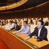 Đại biểu Quốc hội tỉnh Bà Rịa-Vũng Tàu biểu quyết thông qua Nghị quyết phê chuẩn Hiệp định Đối tác Toàn diện và Tiến bộ xuyên Thái Bình Dương (CPTPP) cùng các văn kiện liên quan. (Ảnh: Phương Hoa/TTXVN)