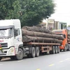 Quảng Nam: Phát hiện 4 xe container chở nhiều cây gỗ lớn không giấy tờ