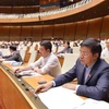 Đại biểu Quốc hội biểu quyết thông qua Nghị quyết về dự toán ngân sách nhà nước năm 2019. (Ảnh: Phương Hoa/TTXVN)