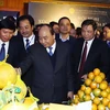 Thủ tướng Nguyễn Xuân Phúc thăm các gian trưng bày sản phẩm của tỉnh Hòa Bình tại hội nghị. (Ảnh: Thống Nhất/TTXVN)