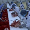Dây chuyền sản xuất theo công nghệ thịt mát. (Ảnh: Vũ Sinh/TTXVN)