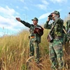 Lực lượng tuần tra bộ đội biên phòng tuần tra, kiểm soát khu vực Ngã ba biên giới Việt Nam-Lào-Campuchia. (Ảnh: Dương Giang/TTXVN)