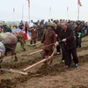 Phó Thủ tướng Thường trực Trương Hòa Bình thực hiện nghi thức xuống đồng, cày ruộng đầu năm trong lễ hội. (Ảnh: Thanh Tùng/TTXVN)
