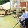 Từ ngày 12/6 đến nay, nước sông Cầu Đỏ nhiễm mặn nặng. (Nguồn: dangcongsan.vn)