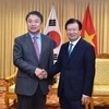 Phó Thủ tướng Trịnh Đình Dũng tiếp ông Jin Haeng Chung, Phó Chủ tịch Tập đoàn Hyundai. (Nguồn: baochinhphu.vn)