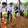 Chủ tịch UBND thành phố Hà Nội Nguyễn Đức Chung cùng các đại biểu trồng cây hoa anh đào tại Công viên Hòa Bình. (Ảnh: Nguyễn Nga/TTXVN phát)