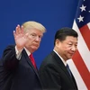 Tổng thống Mỹ Donald Trump (trái) và Chủ tịch Trung Quốc Tập Cận Bình (phải) tại cuộc gặp ở Bắc Kinh, Trung Quốc ngày 9/11/2017. (Nguồn: AFP/TTXVN)